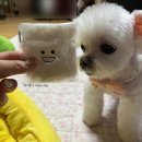 메모리멍 이미지