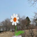 바래봉길 | 전북 남원 가볼만한곳 지리산 허브밸리 열대식물원 &amp; 자생식물압화관 후기