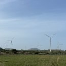 성읍리-24 이미지