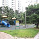 개나리공인중개사 이미지