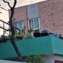 선화로53길 네이버블로그