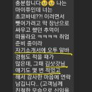 오투 Daum카페