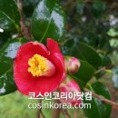 동백산업
