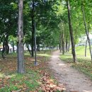 안산천수변공원1 이미지