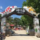 배다골길 이미지