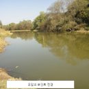 우암교 - 연천군 | 우암교