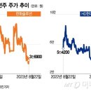 IRA 시행 1년 빛 못 본 태양광株 먹구름 걷히나 기사 이미지