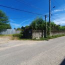 선단진입도로 이미지