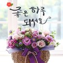 🌸 알아 두면 유용한 좋은 생활의 지혜 모음 🌸 이미지