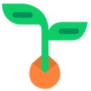 젤리코스 이미지