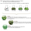 미소지움 메디컬 이미지