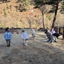 비봉초교 병설유치원 이미지