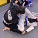 용인대 특전합기도 이미지