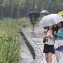 서울부분정비 이미지