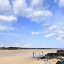 표선리-30 이미지