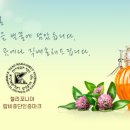 크로바팜