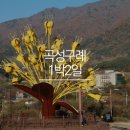 곡성-209 이미지