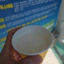 죽도호수산장 | 울릉도여행 가볼만한곳 죽도 섬 여행 체험 방문 힐링 후기 2탄