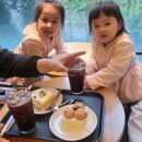 관양동 투썸플레이스 신메뉴 옥수수크림치즈 후기