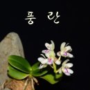 행정사 김철봉 사무소 이미지