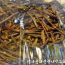 할머니부침 이미지