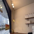 아디에르(ADIER) 이미지