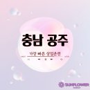 한태양광발전소 이미지