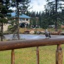 로얄투어 이미지