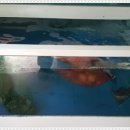 선인식당 이미지