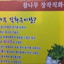 통큰대구막창 티스토리