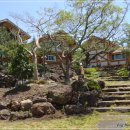 로그맨 하우스 이미지