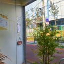 수목금프로젝트 이미지