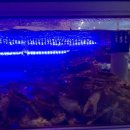 백년대가 | [광주맛집]백년대게 주말 예약 후기-!