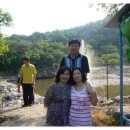 웰빙나라(과일이랑야채랑) 이미지