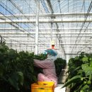 청림농장 이미지