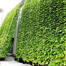 중계2,3동주민센터 이미지