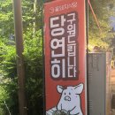 꽃돼지식당 안양메가트리아점 | 안양 범계역맛집 - 꽃돼지식당 안양메가트리아점