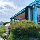 동해디자인 | 묵호 여행_말똥도나스 동해 방문 후기: 뷰가 좋아요!!