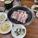 다다쌈밥 이미지