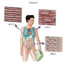 창덕궁미인당 네이버블로그