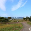 백일홍명품길 이미지