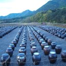 동인식품 이미지