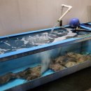 보문아구 이미지