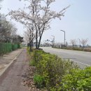 전곡산단로 이미지