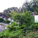 용문산야생화마을 이미지