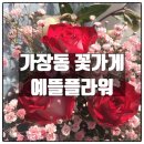 예뜰플라워 - 서구 가장로 100 | 예뜰플라워