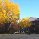 계명대학교 대명캠퍼스 정문 | [공지] 대구 남산역 도심 계명대학교 대명캠퍼스 단풍구경 사진스팟