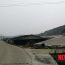 경북가축병원 이미지