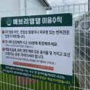 에브리댕댕 | 청주 에브리댕댕 대관 후기