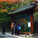 순창 강천산 종주(단풍산행) 이미지